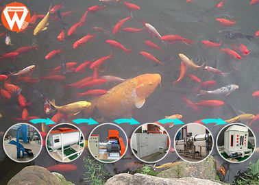 Macchina utensile dell'alimentazione del pesce della cinghia della maglia, processo di fabbricazione del mangime per pesci 65KW